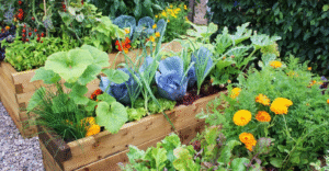 Beginner’s Guide to Companion Planting for Vegetables