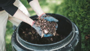 How to Make Organic Fertilizer at Home – Step-by-Step